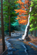 Valley of Shadow
