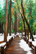 Winter Walks