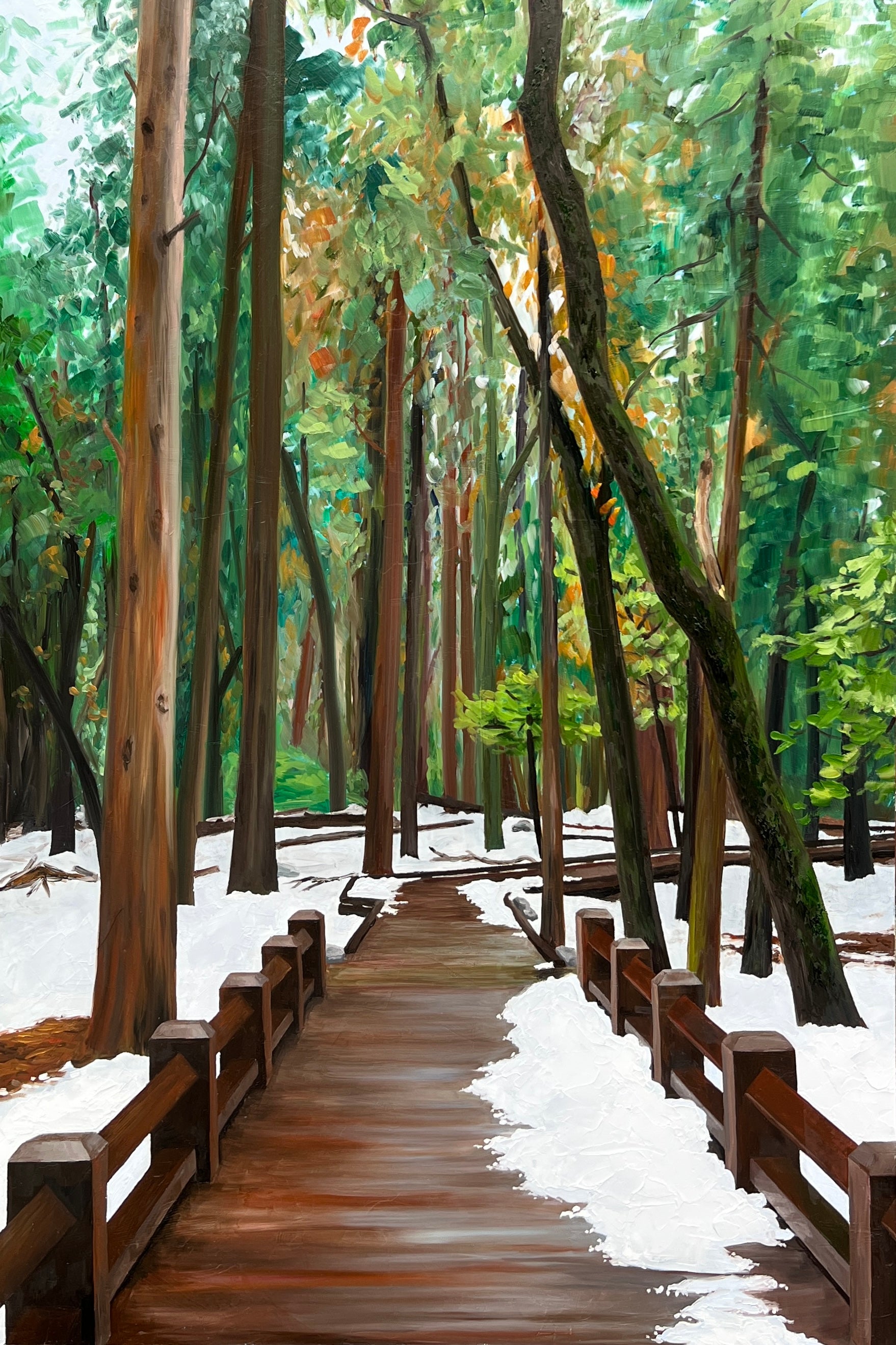 Winter Walks